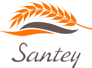 santey-grain.ru